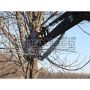 Baumalight Vertical Excavator Tree Shear with Grapple Model IXV508